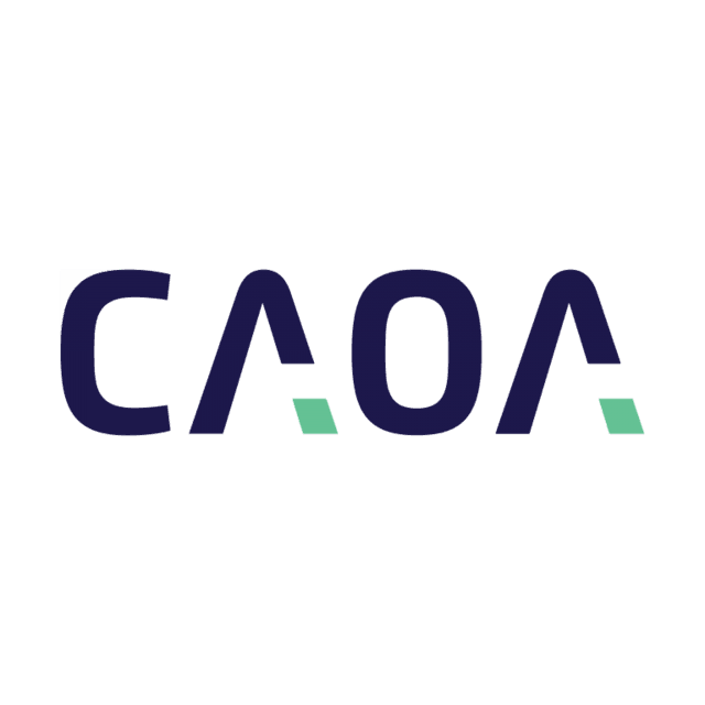 Logo Caoa
